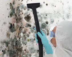 Asbestos and Lead Testing During Mold Inspection in Murphys, CA